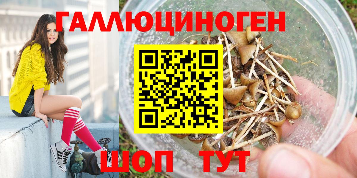 Псилоцибиновые грибы Psilocybe  Вход с VPN  Партизанск 